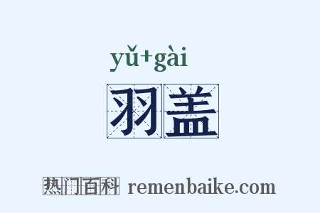 羽盖是什么意思的图片